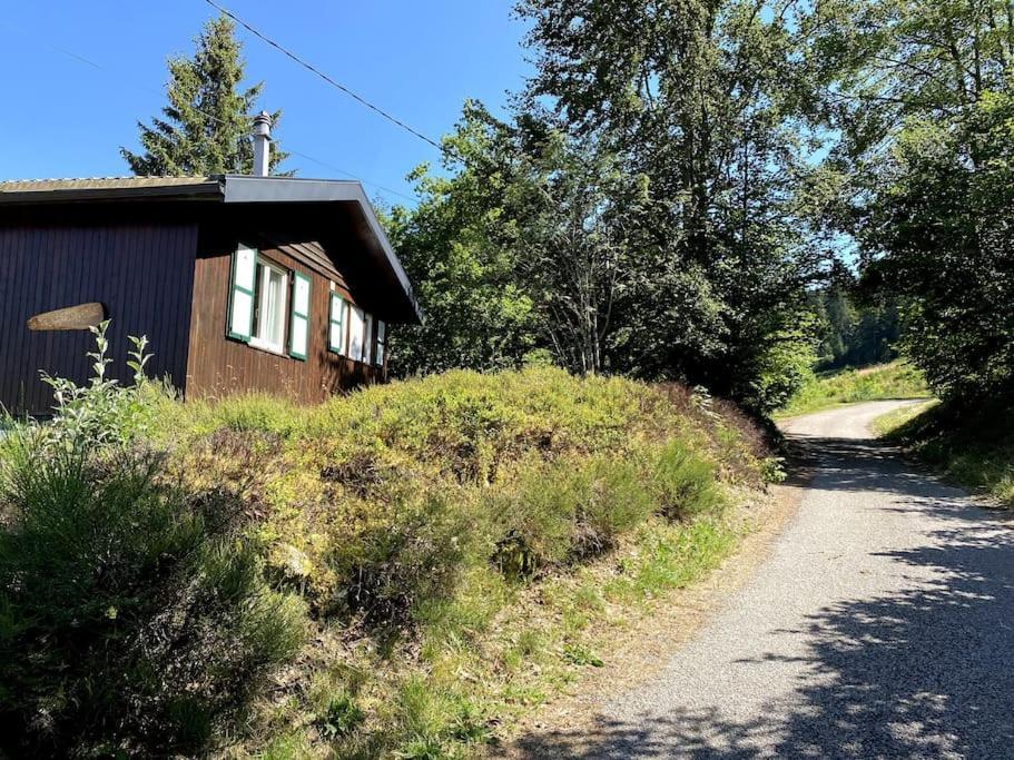 Le Chalet Des Coeurs Le Tholy Exterior photo